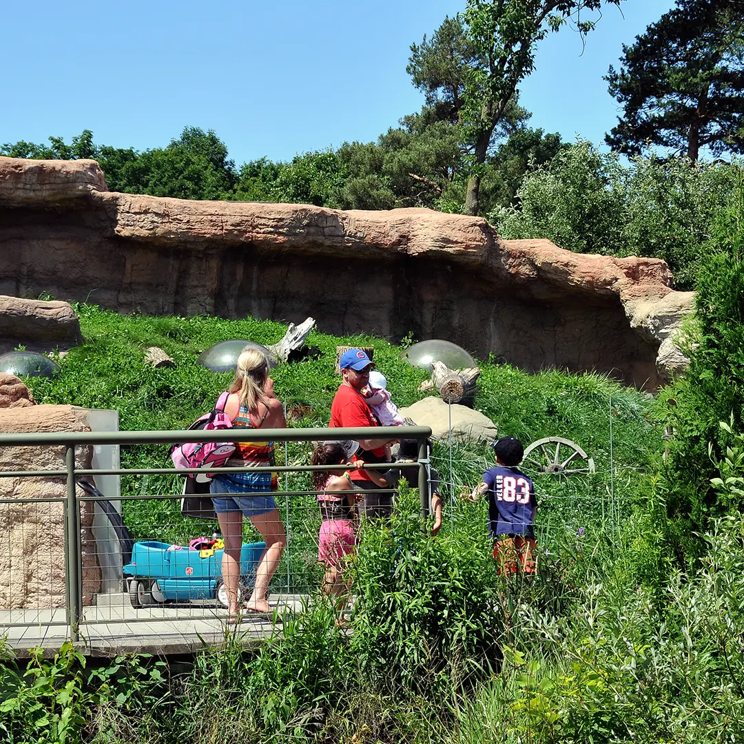 Children playing on giant egg shells