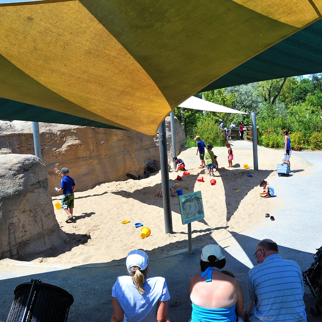 Kids playing in the sand pit