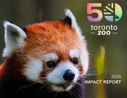 Cover of the Strategic Plan document