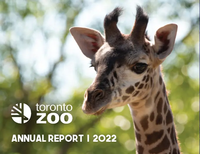Cover of Annual Report 2022 document