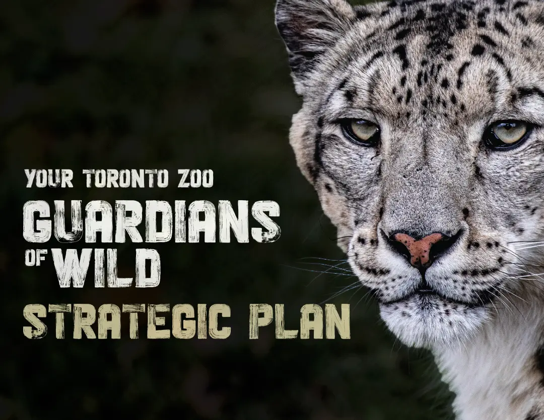 Cover of the Strategic Plan document